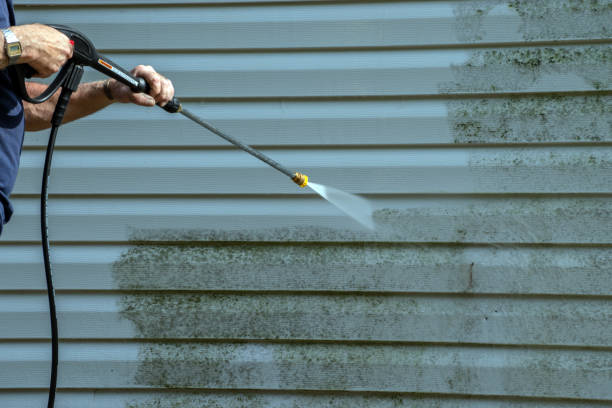 Best Exterior Home Cleaning  in Laurel, DE