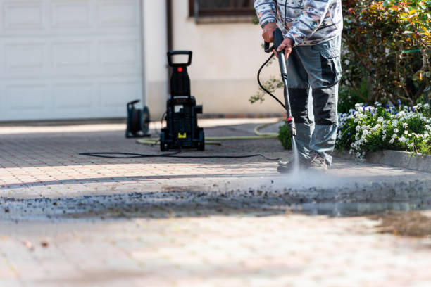 Best Roof Power Washing Services  in Laurel, DE