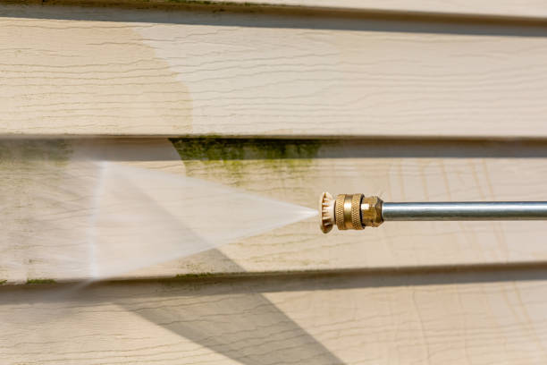 Professional Pressure Washing in Laurel, DE