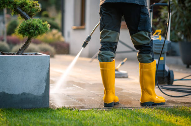 Best Residential Pressure Washing Services  in Laurel, DE